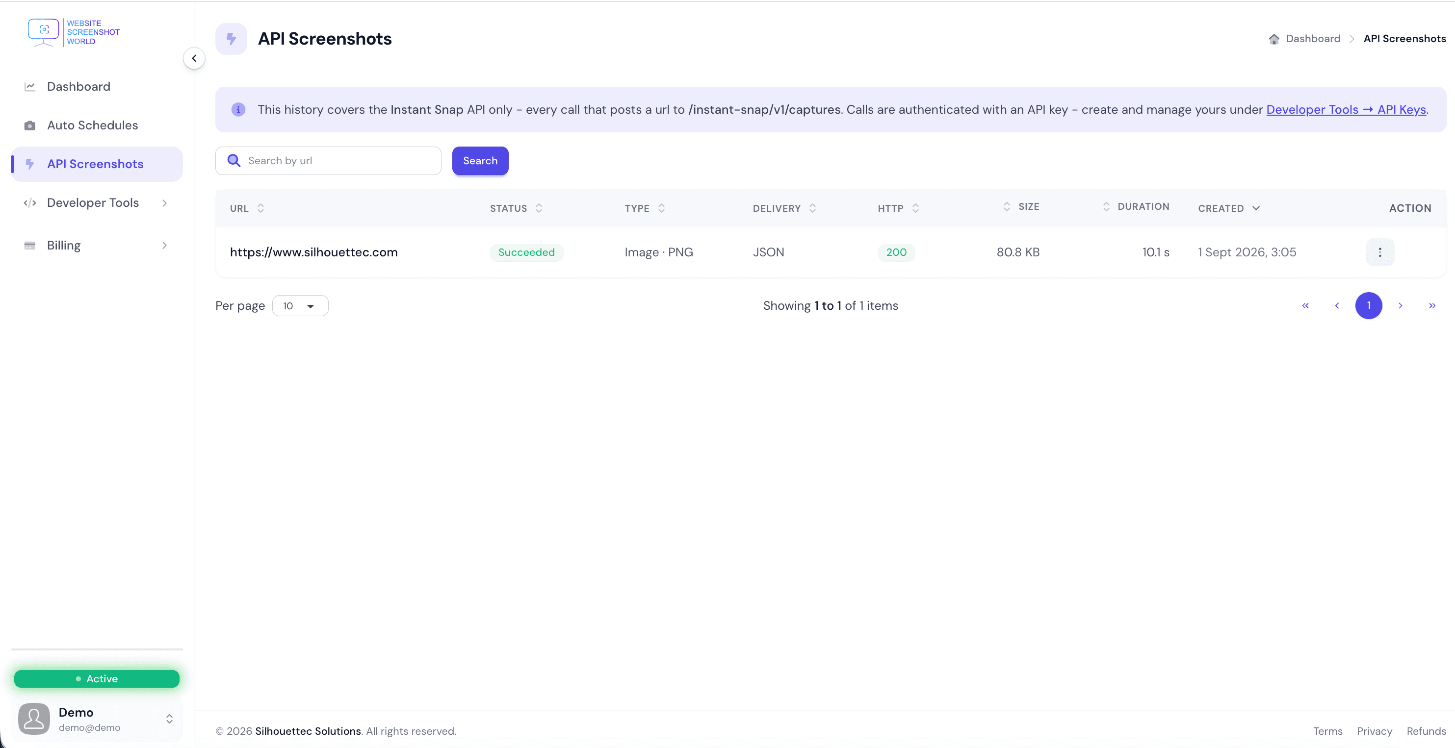 Instant Snap API history listing each Instant Snap API call with its status, output type, delivery mode, HTTP status code, size and duration